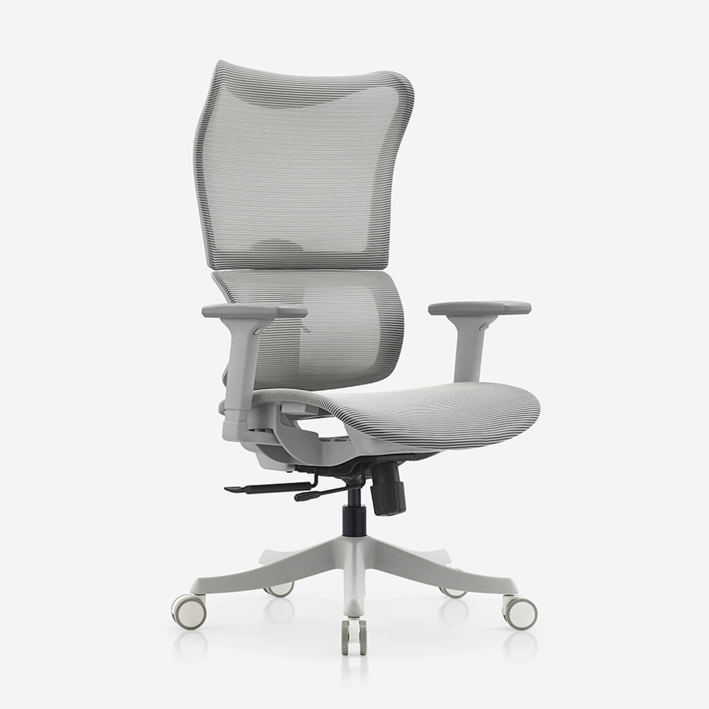 Deskbird | Full Mesh Ergonomic Infinity Chair - Grey