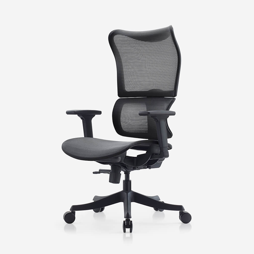 deskbird-full-mesh-ergonomic-infinity-chair-black