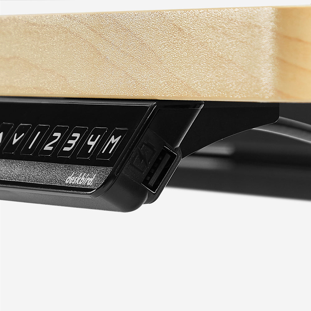 SIGNATURE STANDING DESK - Scalloped