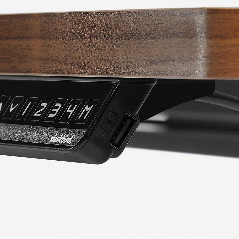 SIGNATURE STANDING DESK - Scalloped